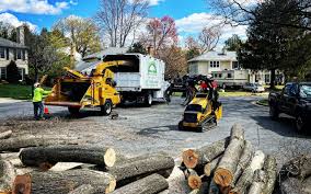 Best Tree Mulching  in Warm Springs, OR